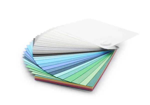 Tavolozza dei colori isolata sul bianco. Campioni professionali — Foto Stock