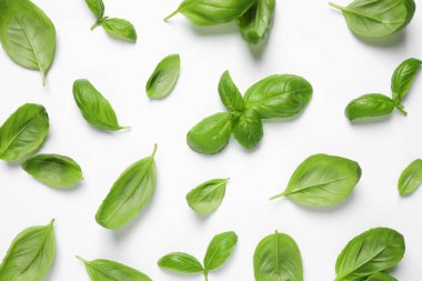 Beyaz arka plan üzerinde üstten görünüm taze yeşil fesleğen yaprağı