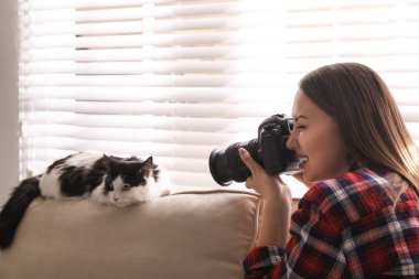 Profesyonel hayvan fotoğrafçısı evde güzel bir kedinin fotoğrafını çekiyor.