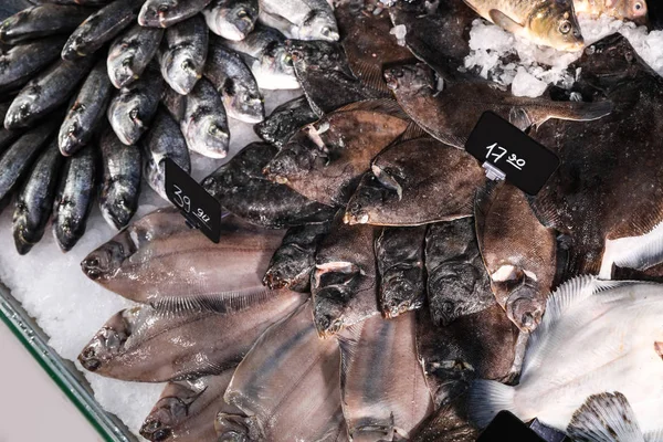 Diversi Tipi Pesce Fresco Sul Ghiaccio Nel Supermercato Vista Dall — Foto Stock