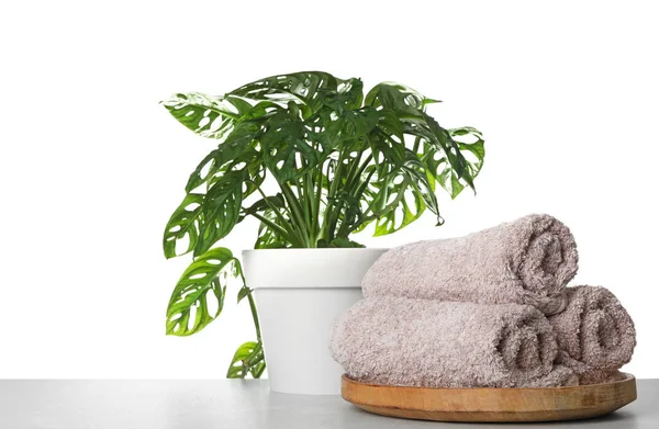 Fresh bath towels on table against white background — Stock Photo, Image