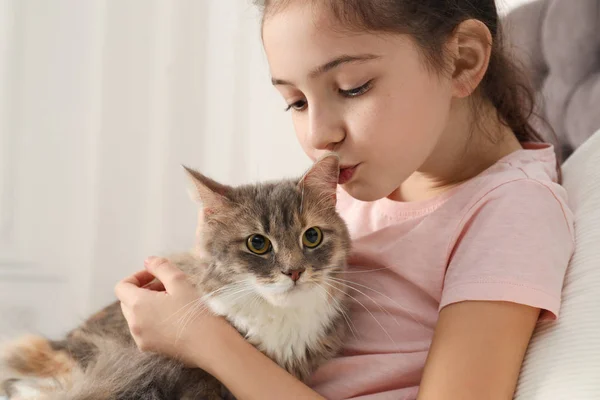 Leuk klein meisje met kat thuis, close-up. Eerste huisdier — Stockfoto