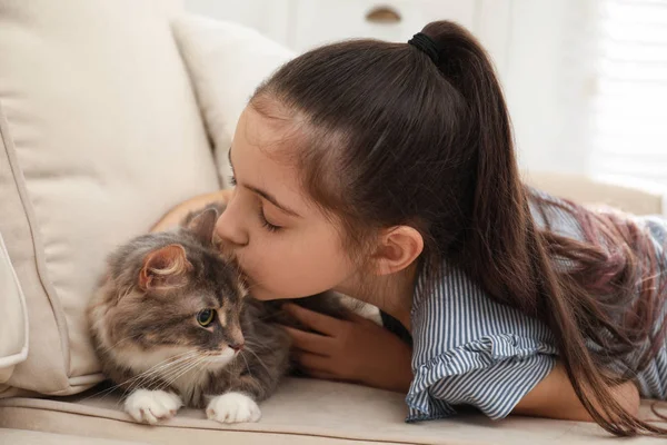 自宅でソファに猫とかわいい女の子。最初のペット — ストック写真