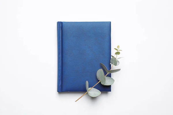 Muistikirja Eukalyptus Valkoisella Taustalla Ylhäältä Vuoden Väri 2020 Classic Blue — kuvapankkivalokuva