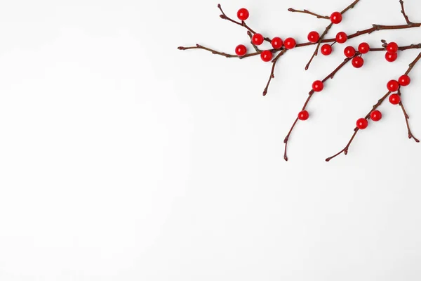 白い背景に装飾的な枝を持つ冬の組成物 トップビュー — ストック写真