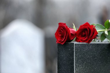 Açık havada siyah granit mezar taşında kırmızı güller, yazı için boşluk. F