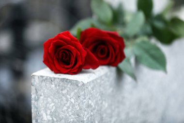 Red roses on light grey tombstone outdoors, closeup. Funeral cer clipart