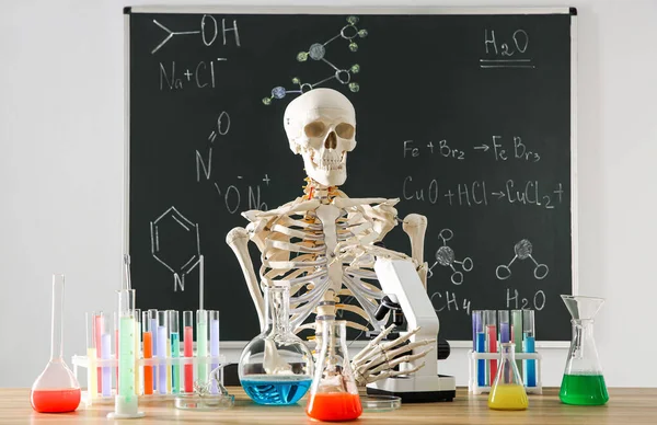 Skelett Und Verschiedene Chemiegläser Klassenzimmer — Stockfoto