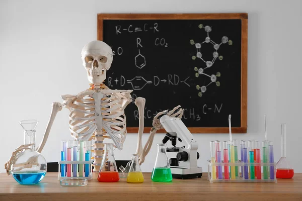 Esqueleto Diferentes Produtos Químicos Vidro Sala Aula — Fotografia de Stock