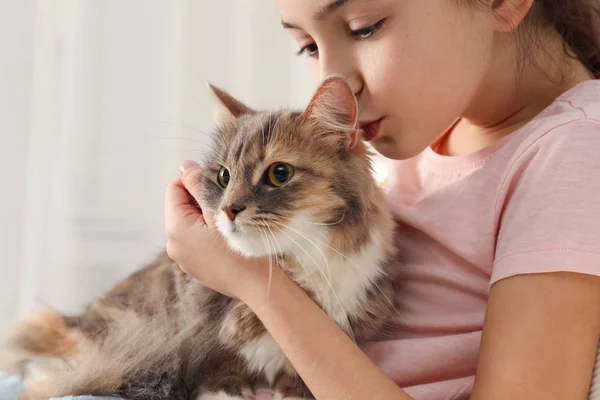 Leuk klein meisje met kat thuis, close-up. Eerste huisdier — Stockfoto