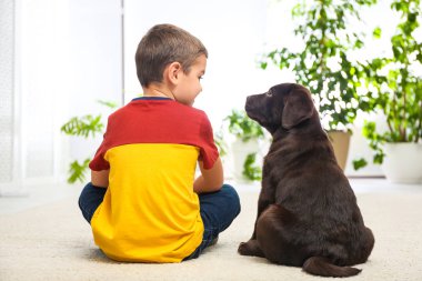 Evde yerde köpek yavrusu olan küçük bir çocuk. Dost canlısı köpek