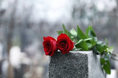 Red roses on grey granite tombstone outdoors. Funeral ceremony clipart