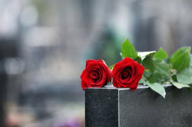 Açık havada siyah granit mezar taşında kırmızı güller. Cenaze töreni.