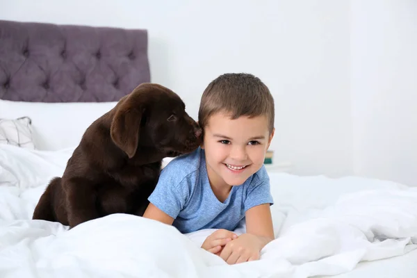 Funny puppy and little boy on bed at home. Friendly dog — Stock Photo, Image