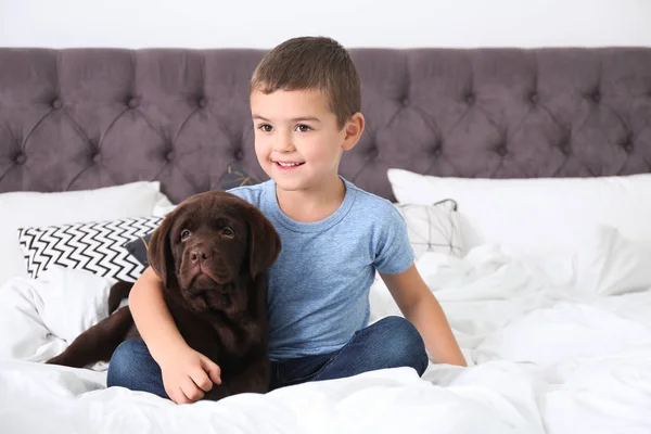 Filhote de cachorro engraçado e menino na cama em casa. Cão amigável — Fotografia de Stock