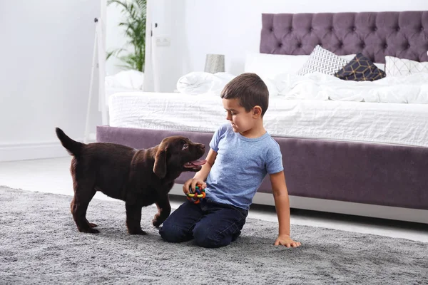 Niño jugando con cachorro en el dormitorio. Amistoso perro — Foto de Stock