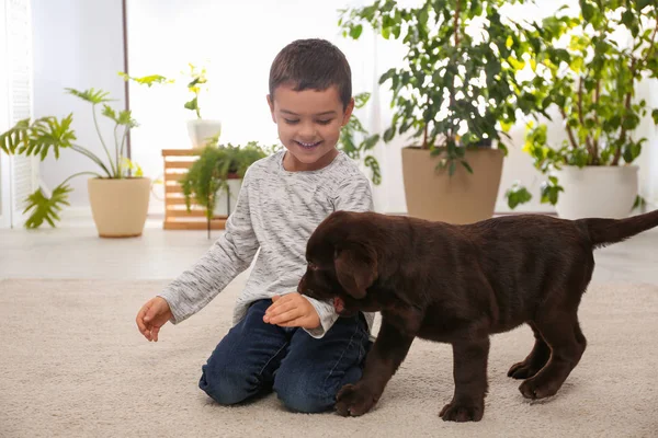 Little boy playing with puppy at home. Friendly dog — 스톡 사진