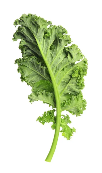 Fresh green kale leaf isolated on white — Stock Photo, Image