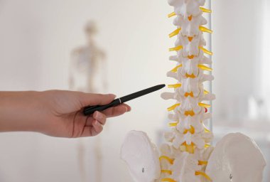Klinikte insan omurga modelini gösteren ortopedist, yakın plan.