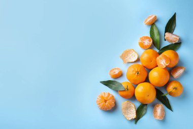 Açık mavi arka planda taze taze mandalinalar, düz uzanmış. Metin için boşluk