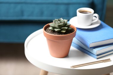 Güzel sulu ve beyaz masa üzerindeki kitaplar. Ev bitkisi