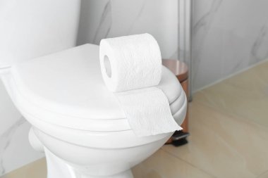 Tuvaletteki yeni kağıt rulo.