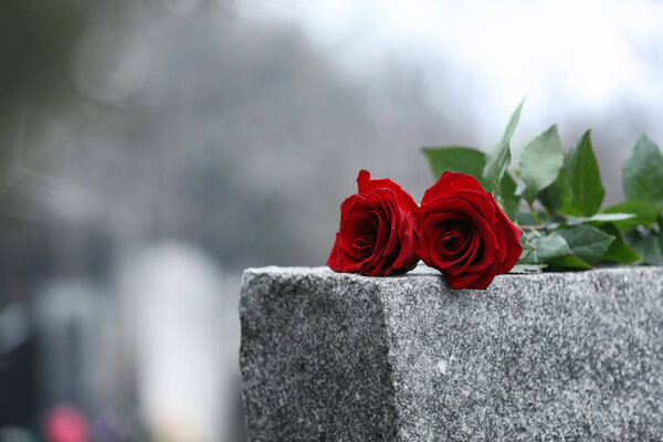 Red roses on grey granite tombstone outdoors. Funeral ceremony