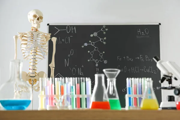 Verschiedene Chemiegläser Und Skelette Klassenzimmer — Stockfoto
