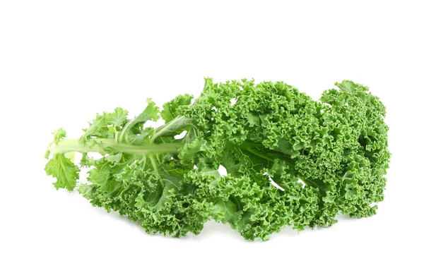 Fresh green kale leaf isolated on white — 스톡 사진