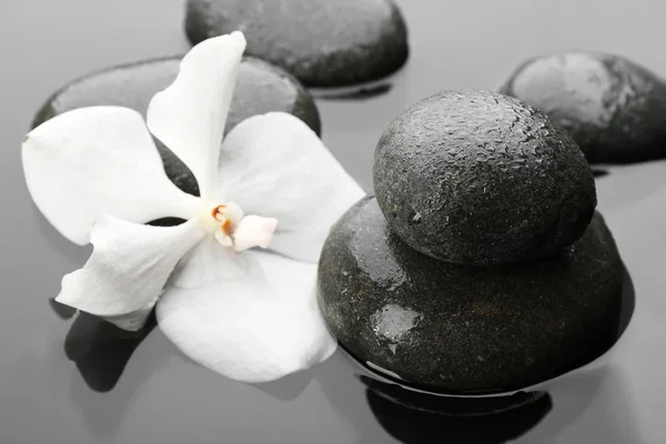 Πέτρες Σπα Και Ορχιδέα Λουλούδι Στο Νερό Τρόπος Ζωής Zen — Φωτογραφία Αρχείου