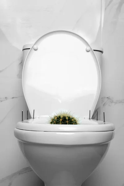 Toalete Com Cacto Unhas Perto Parede Mármore Conceito Hemorróidas — Fotografia de Stock