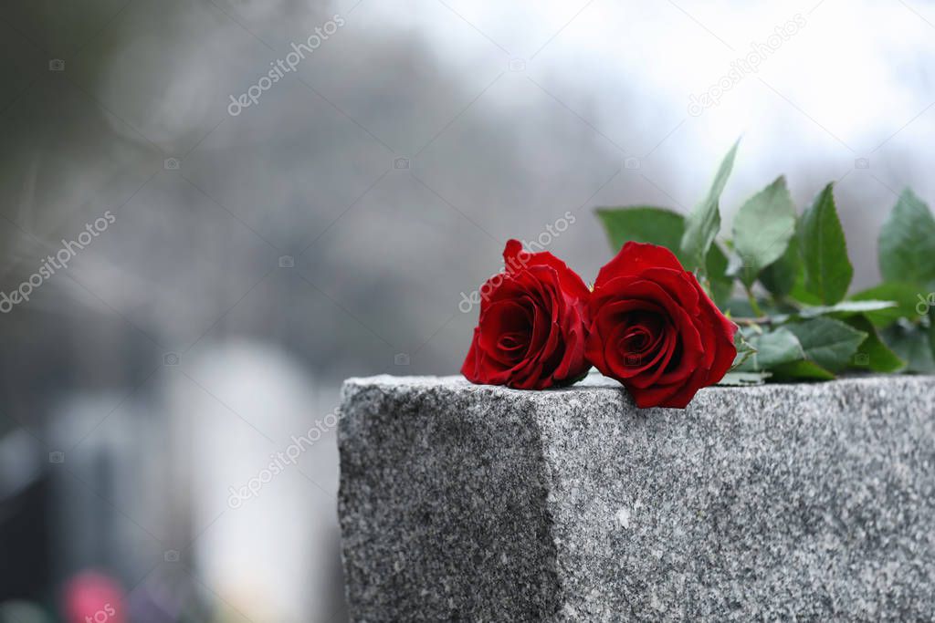 Red roses on grey granite tombstone outdoors. Funeral ceremony