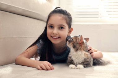 Evdeki halıda kedisi olan sevimli küçük bir kız. İlk hayvan
