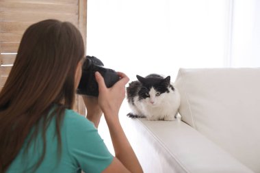 Profesyonel hayvan fotoğrafçısı evde güzel bir kedinin fotoğrafını çekiyor.