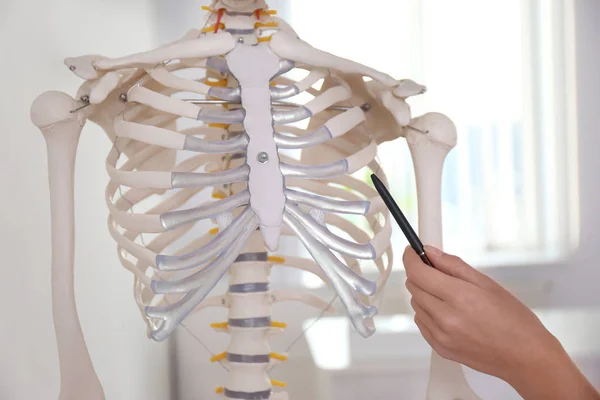 Ortopedista Apontando Modelo Esqueleto Humano Clínica Close — Fotografia de Stock