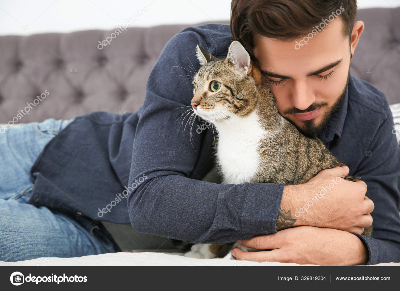 Cat Sitting Happy Home Pet Sitting Mental Stimulation Keeping