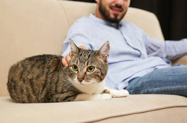 Man with tabby cat on sofa at home. Friendly pet