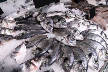 Süpermarkette buzlu taze çiğ balık.