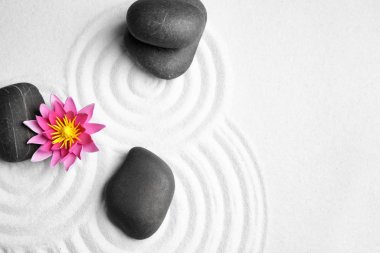 Zen bahçesi. Güzel nilüfer çiçeği ve beyaz kumdaki taşlar, düz uzanmış.