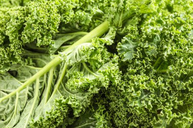 Arka plan olarak taze yeşil lahana yaprakları, yakın plan