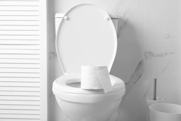 화장실 변기에 두루마리 — 스톡 사진