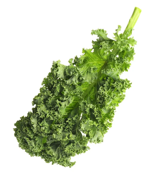 Fresh green kale leaf isolated on white — 스톡 사진