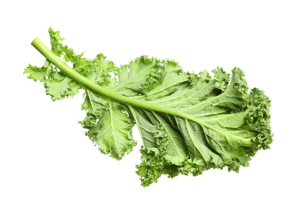 Fresh green kale leaf isolated on white — 스톡 사진