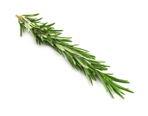 Verse groene rozemarijn geïsoleerd op wit. Aromatische kruid — Stockfoto