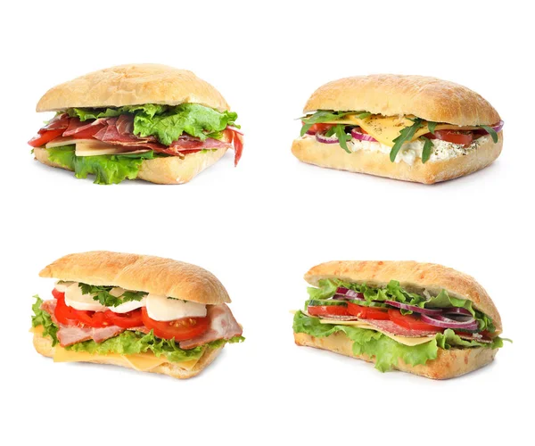 Set Delicious Sandwiches White Background — Stock Photo, Image