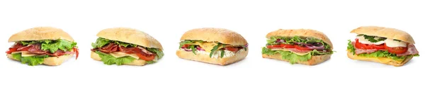 Набор Вкусных Бутербродов Белом Фоне Баннерный Дизайн — стоковое фото