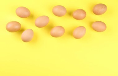 Sarı arka planda çiğ tavuk yumurtası. Metin için boşluk