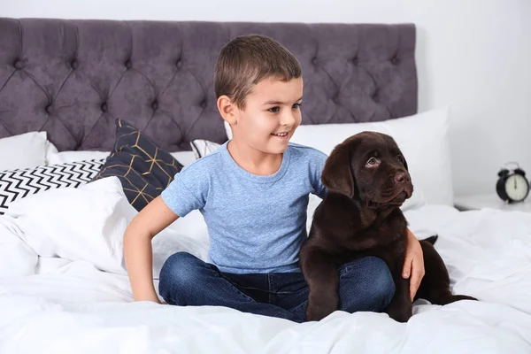 Забавні цуценята і маленький хлопчик в ліжку вдома. Дружній собака — стокове фото