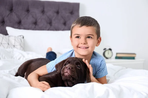 Filhote de cachorro engraçado e menino na cama em casa. Cão amigável — Fotografia de Stock