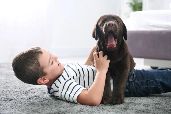 Menino com filhote no chão no quarto. Cão amigável — Fotografia de Stock